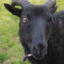 Such a lovely little face!