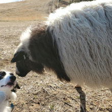 Getting to know Grizz!