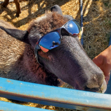 A very cool Snickers!