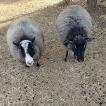 Mama and Son, Ruby and Garnet!