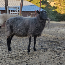 Such a gorgeous lady!